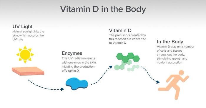 UVB rays allow our skin to synthesize vitamin D
