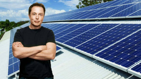 Elon musk vor Solarzellen