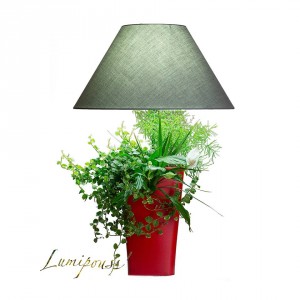lumipouss