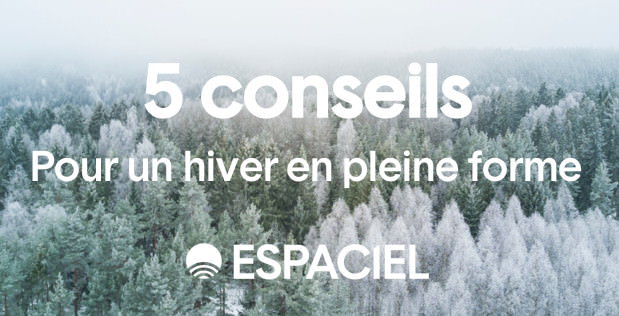 foret-hivernal-et-ciel-gris-de-l-hiver
