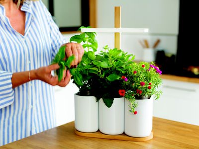 lilo-cadeau-potager-interieur