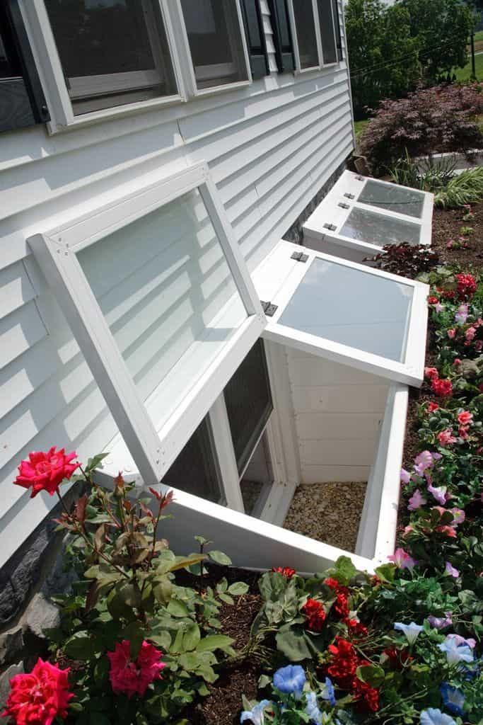 The wolf's leap from a basement brings light into this basement
