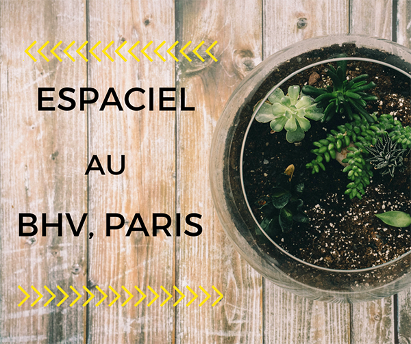 Les réflecteurs de lumière Espaciel au BHV à Paris !