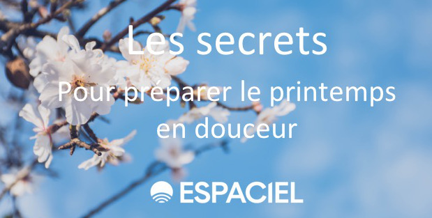 fleur-de-cerisier-avec-un-ciel-bleu-printanier