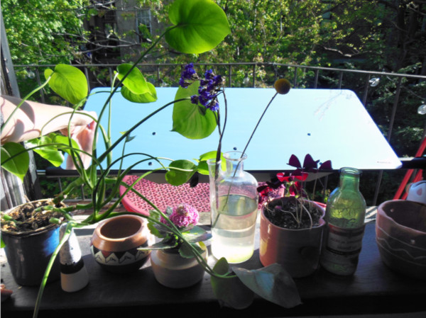 le réflecteur fenêtre devant la fenêtre de Stéphanie dans son appartement à New York pour éclairer naturellement son intérieur