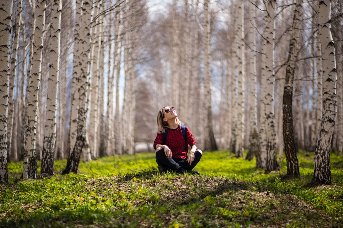 woman sitting between brown trees enjoying the sun